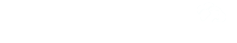 S3 Storage NZ, Object Storage NZ