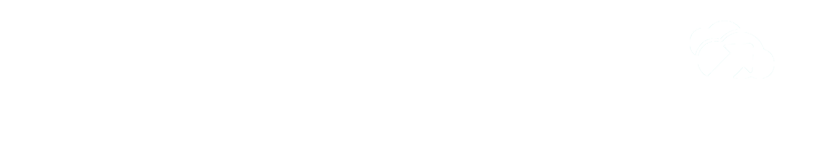 IaaS Private Cloud NZ. Azure Cloud, AWS Cloud, Hybrid Cloud
